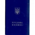 Трудовая книжка ( bt.000007844 )