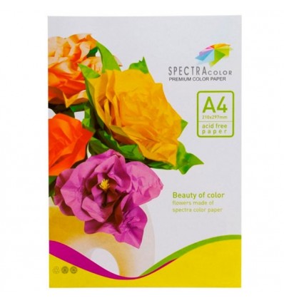 Кольоровий папір Spectra Color Rainbow Pack асорті А4 100арк (16.4019)