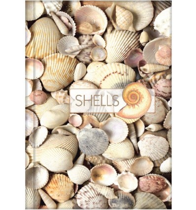 Канцелярська книга "Малюнки природи. Shells" А4, лінійка, 96 арк.