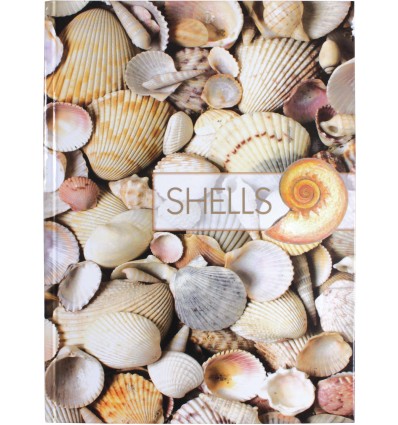 Канцелярська книга "Малюнки природи. Shells" А4, клітинка, 96 арк.