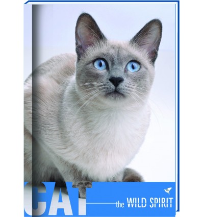 Блокнот "Wild Spirit", А6, обложка - картон з поролоном