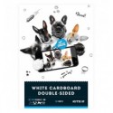 Картон білий Kite Dogs А4, 10 аркушів
