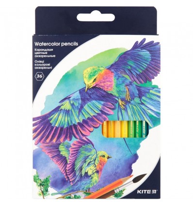 Олівці кольорові акварельні Kite "Птахи", 36 шт