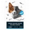 Папір кольоровий неоновий Kite Dogs A4, 10 аркушів
