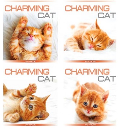 Тетрадь общая МРІЇ ЗБУВАЮТЬСЯ "CHARMING CAT", 48 листов, в клетку