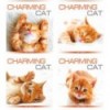 Тетрадь общая МРІЇ ЗБУВАЮТЬСЯ "CHARMING CAT", 48 листов, в клетку