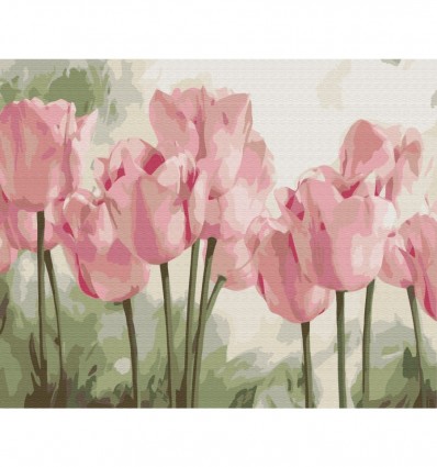 Картина по номерам "Нежные тюльпаны", 40х50, KIDS Line
