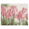 Картина за номерами "Ніжні тюльпани", 40х50, KIDS Line