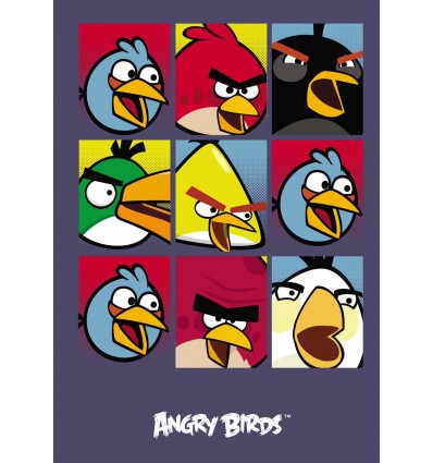 Блокнот "Angry Birds ", А4, 80 л., серый