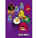 Блокнот "Angry Birds", А4, 80 арк., бузковий