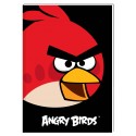 Блокнот "Angry Birds", А5, 48 арк., чорний