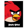 Блокнот "Angry Birds ", А5, 48 л., черный