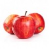 Яблуко джонаголд кг