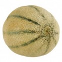 Дыня Brazil Melon Канталупа свежая, кг