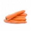 Морковь молодая, кг