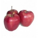 Яблоко глостер, кг