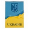 Блокнот BUROMAX UKRAINE, А-5, 48аркушів, клітка, картонна обкладинка, на пружині, блакитний
