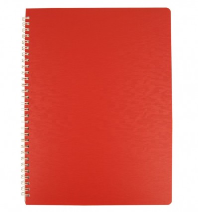 Тетрадь для записей Buromax BARK А4, 60 л., клетка, пластиковая обл., красная ( BM.24454154-05 )