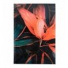 Книга записна Axent Flora А4, 192 листа, клітинка, поморанчева ( 8423-28-A )