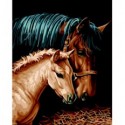 Картина за номерами "Пара коней", 40х50 cм cм, ART Line