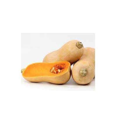 Гарбуз Оранж Органічний кг