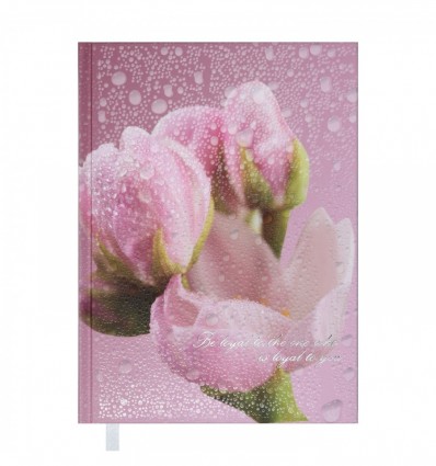 Щоденник недатований POSH, A5, рожевий ( BM.2013-10 )