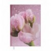 Ежедневник недатированный POSH, A5, розовый ( BM.2013-10 )
