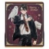 Зошит шкільний Kite Harry Potter HP24-238, 24 аркуша, клітинка