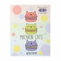 Щоденник шкільний KIDS Line MACAROON ZB.13910, A5+, 40 л., інтегральна обкладинка