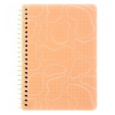 Блокнот на спiралi Axent 8463-3-A, B6, 80 аркушів, клітинка, пластикова обкладинка, поморанчевий