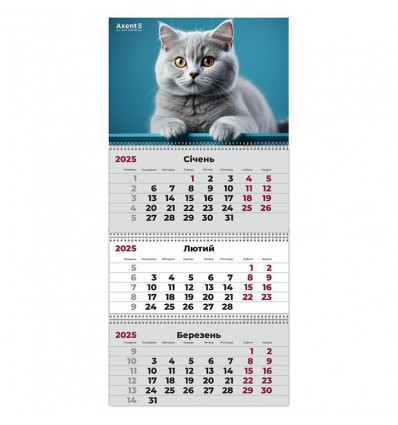 Календарь настенный квартальный 2025 Axent Cats 1 8803-25-13-A, 3 пружины