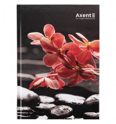 Книга записна Axent R&B Flower 8457-7-A, А5, 96 аркушів, клітинка, тверда обкладинка