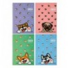 Блокнот на пружине сбоку CUTE pattern, А-5, 64л., карт.обложка, KIDS Line ZB.12153