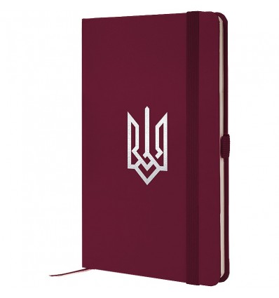 Книга записна Axent Partner Герб 8201-46-5-A, 125x195 мм, 96 аркушів, клітинка, винна ( 8201-46-5-A 