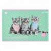 Зошит для малювання Kite Studio Pets SP25-241, 12 аркушів