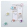 Набор магнитов Axent Pastelini 9829-А 30 мм, 6 штук