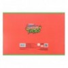 Тетрадь для рисования Kite Ninja Turtles NT25-241, 12 листов