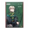Тетрадь для рисования Kite Harry Potter HP25-243, 30 листов