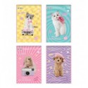 Зошит для малювання Kite Studio Pets SP25-243, 30 аркушів
