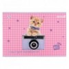 Зошит для малювання Kite Studio Pets SP25-242, 24 аркуші