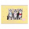 Зошит для малювання Kite Studio Pets SP25-242, 24 аркуші