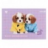 Зошит для малювання Kite Studio Pets SP25-242, 24 аркуші