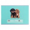 Зошит для малювання Kite Studio Pets SP25-242, 24 аркуші