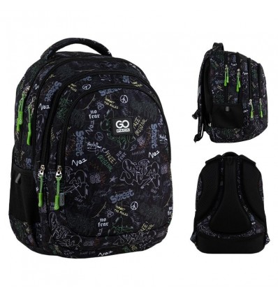 Рюкзак школьный GoPack Teens GO25-162M-6