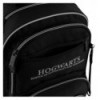 Школьный рюкзак Kite Education Harry Potter HP25-773M