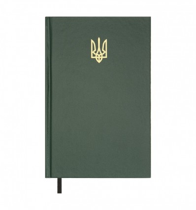 Дневник недатированный AIRY BM.20731-04, A5, зеленый, бумвинил