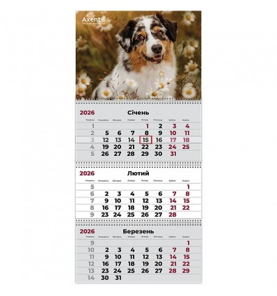 Календарь настенный квартальный 8803-26-16-A, 2026 г.,3 пр. Dogs 1