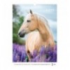 Календар настінний 8804-26-3-A, А3 2026 р., Horses