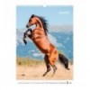 Календарь настенный 8804-26-3-A, А3 2026 г., Horses