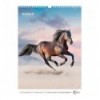 Календар настінний 8804-26-3-A, А3 2026 р., Horses